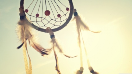 Dreamcatcher, doer, attitude, character, TopoftheLadder, QuotesILiveBy